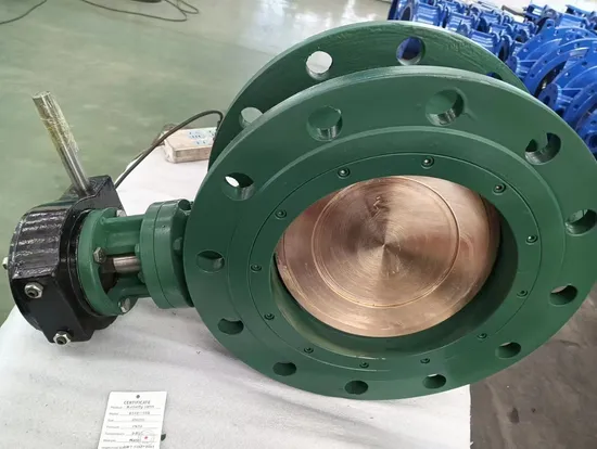 DN50-DN900 DN300 DN350 DN400 DN500 Pinless Double Eccentric Ductile Iron Butterfly Valve with Aluminum Bronze SS316 SS304 Disc and Electric Actuator